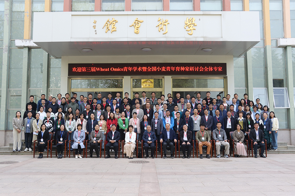 青岛农业大学举办第三届Wheat Omics青年学术暨全国小麦青年育种家研讨会