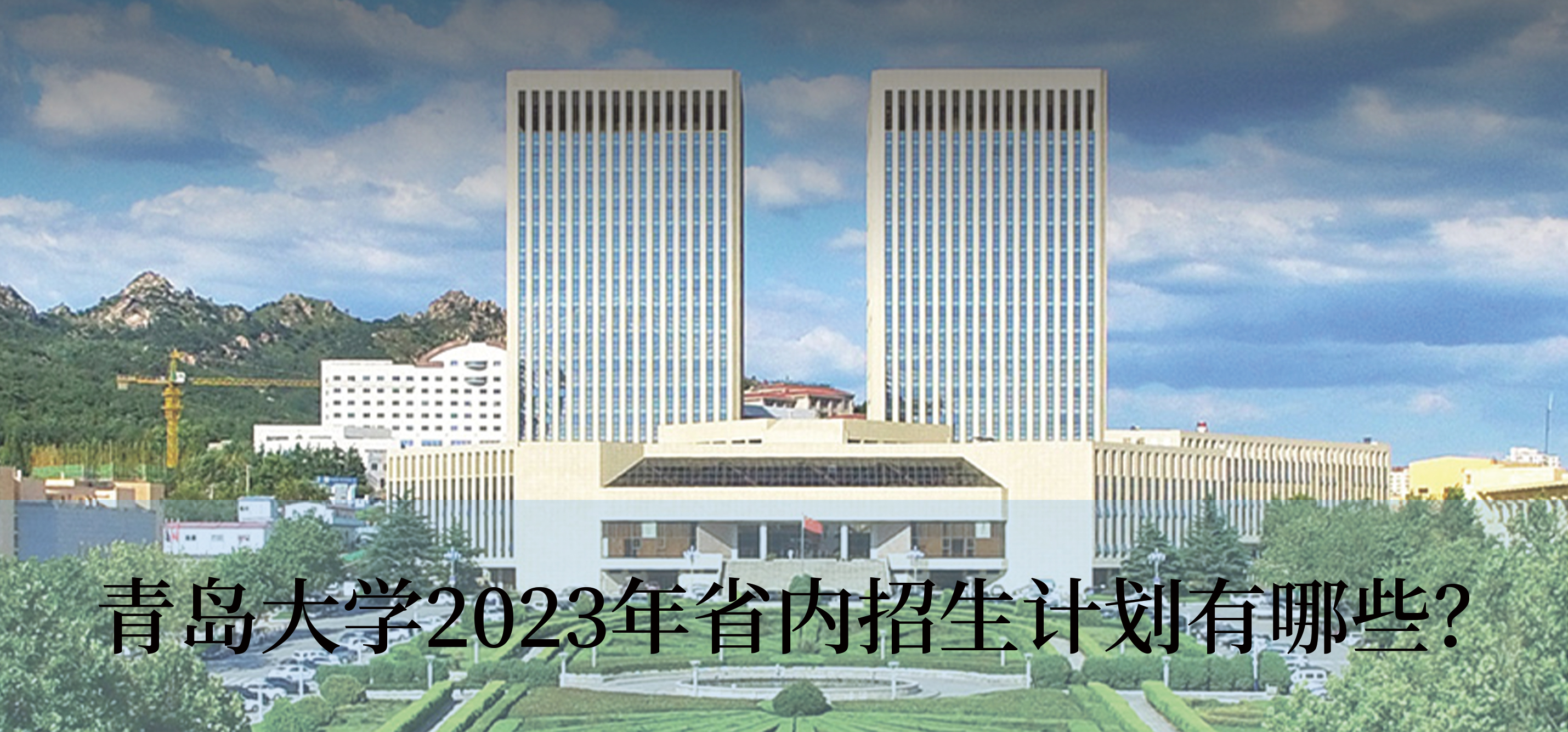 青岛大学2023年省内招生计划有哪些？
