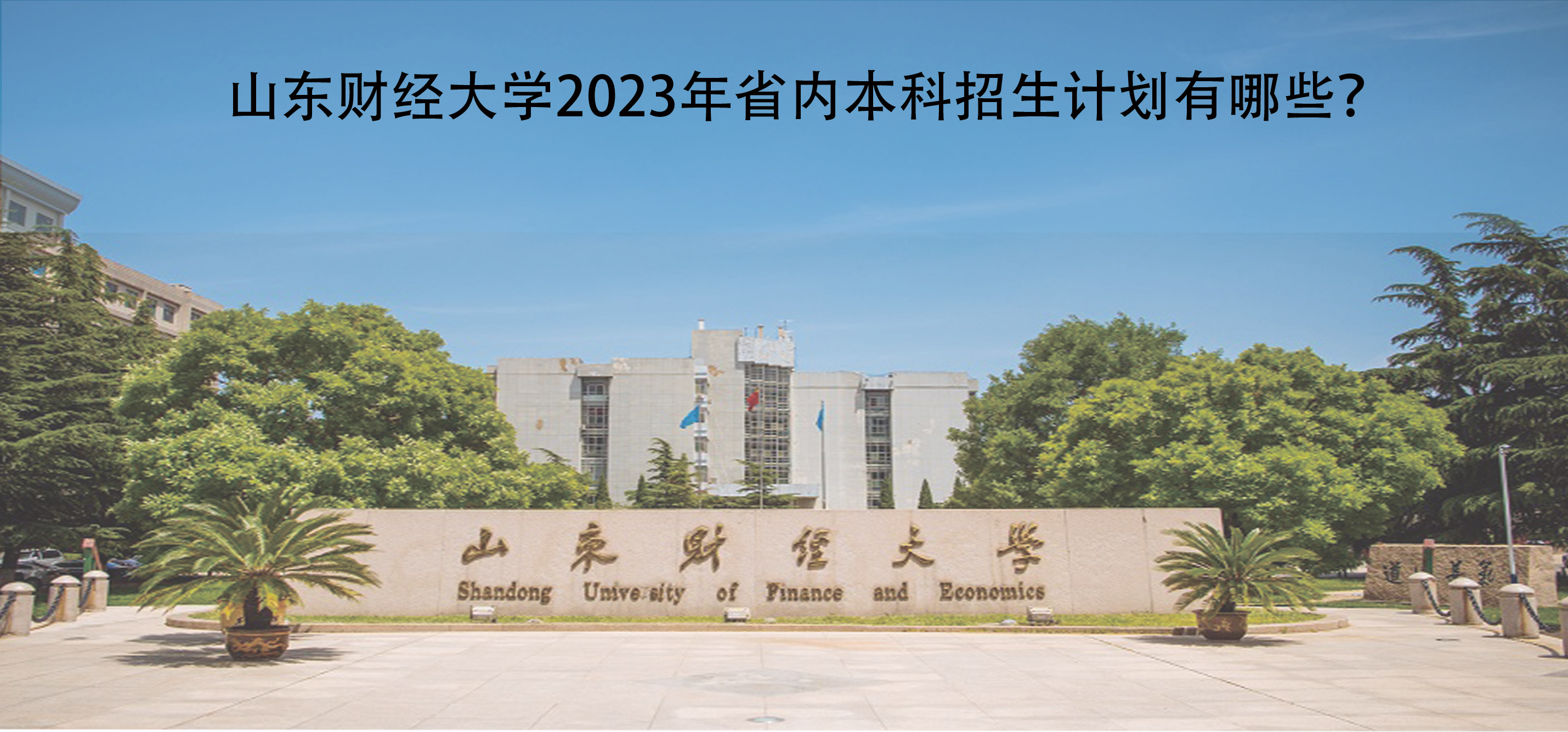 山东财经大学2023年省内本科招生计划有哪些?
