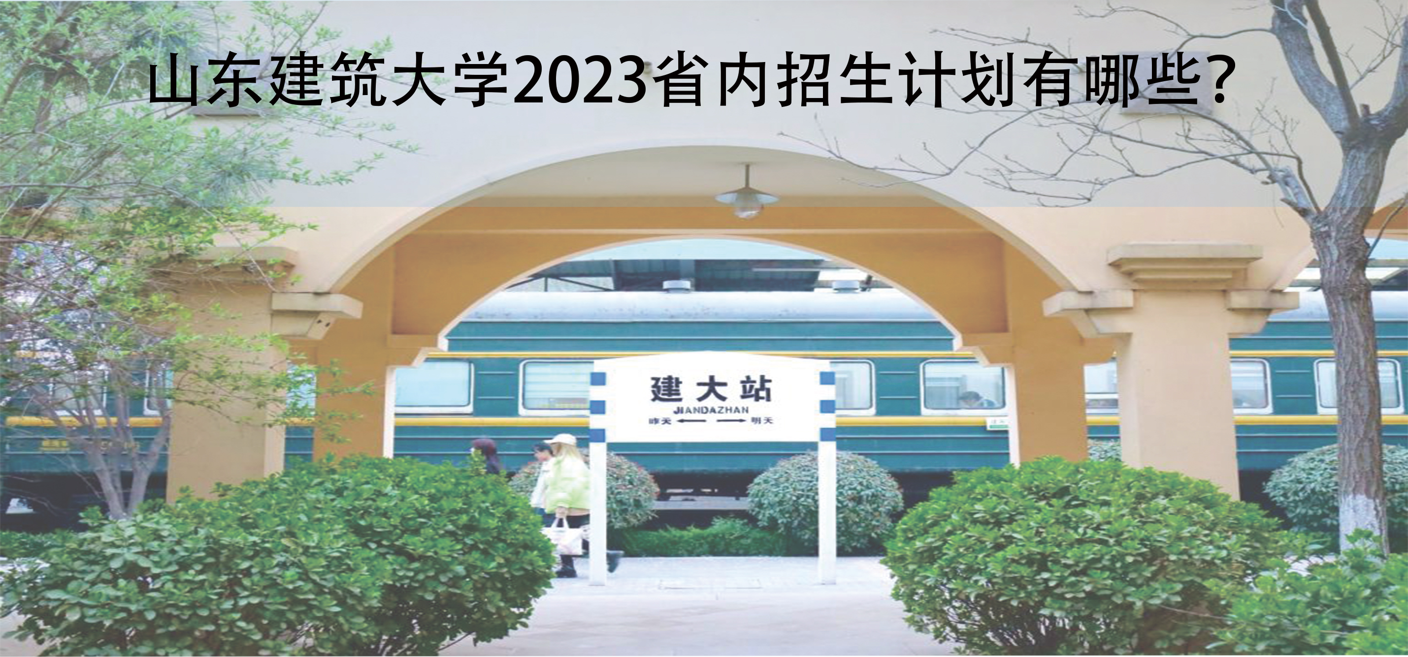 山东建筑大学2023省内招生计划有哪些？